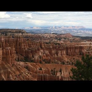 Meet your Posher, Nora